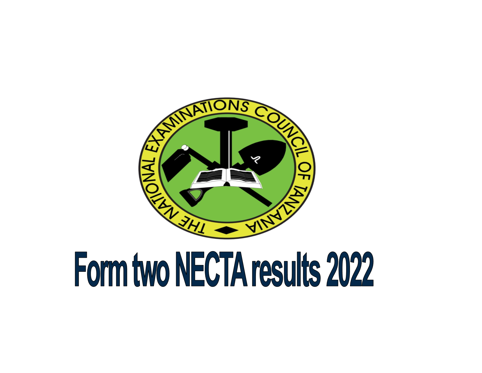NECTA form two
