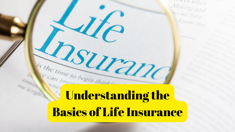 Understanding the Basics of Life Insurance