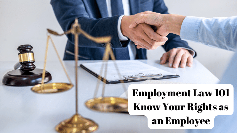 Employment Law 101 Know Your Rights as an Employee