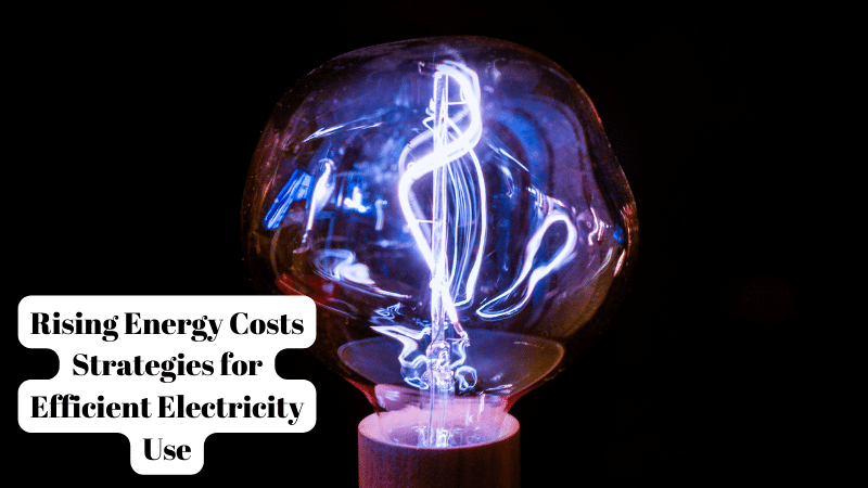 Rising Energy Costs Strategies for Efficient Electricity Use